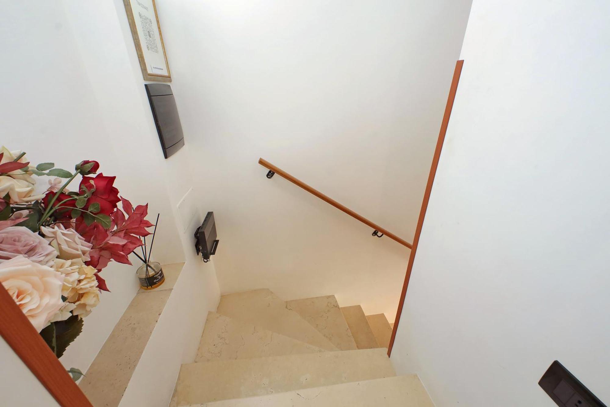 Quo Vadis Apartment